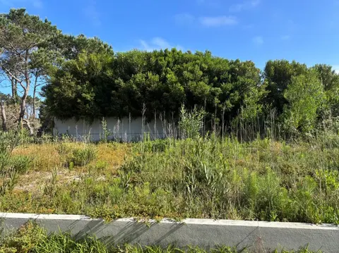 3-Bedroom Villa with Pine Forest Views for Sale in Fontanelas, Sintra — Lisboa, Sintra — 12