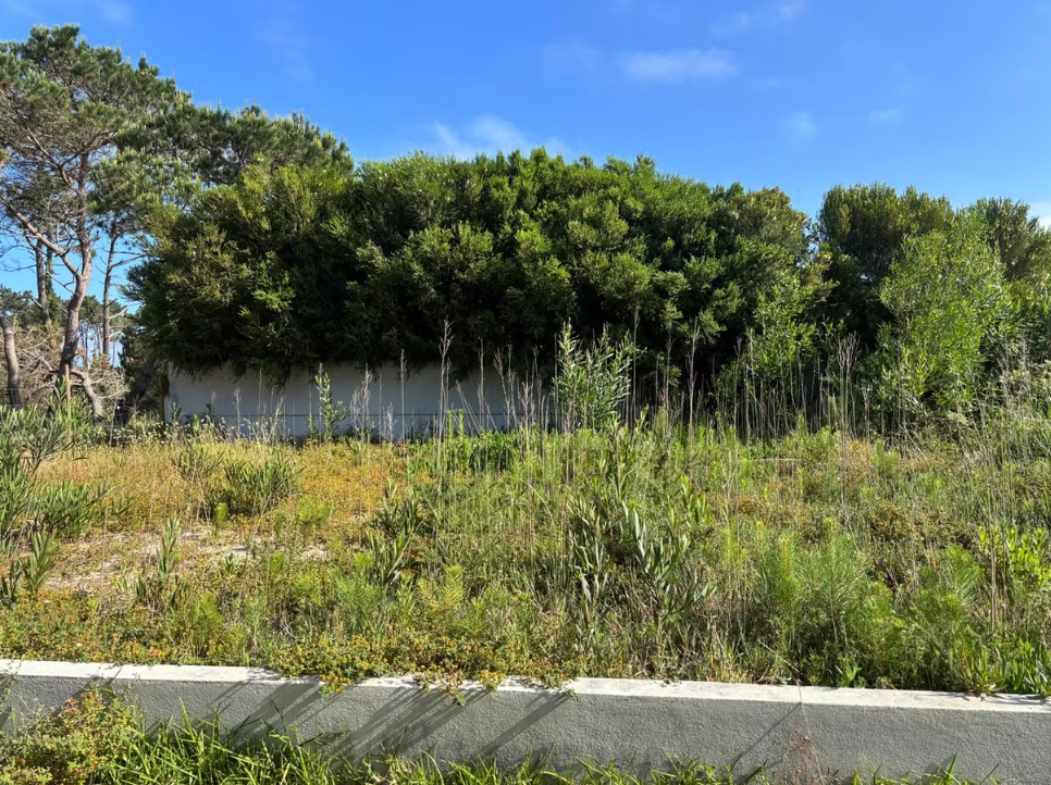 3-Bedroom Villa with Pine Forest Views for Sale in Fontanelas, Sintra — Lisboa, Sintra — 12