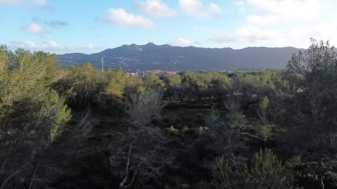 Urbanizable Plot with Pena Palace & Serra de Sintra Views  in Morelinho, Sintra — Price on Request — Lisboa, Sintra — 2