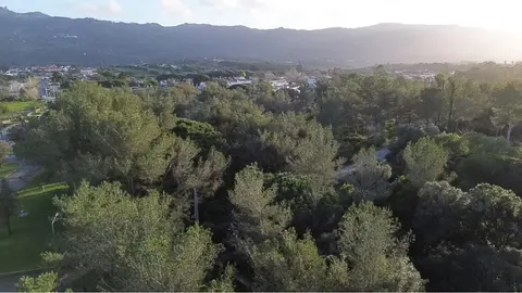 Urbanizable Plot with Pena Palace & Serra de Sintra Views  in Morelinho, Sintra — Price on Request — Lisboa, Sintra — 4