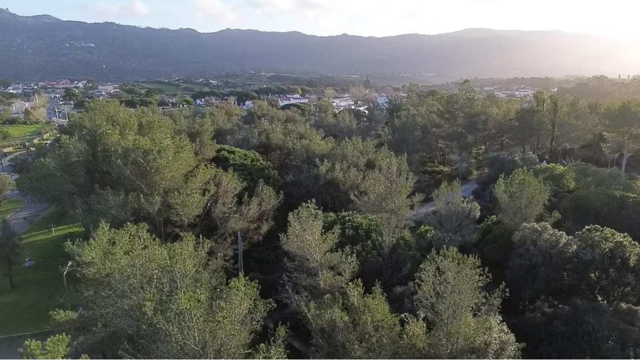Urbanizable Plot with Pena Palace & Serra de Sintra Views  in Morelinho, Sintra — Price on Request — Lisboa, Sintra — 4