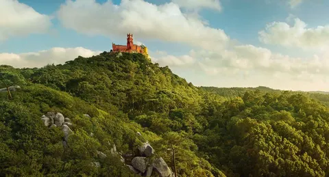 Здание под гостиничный проект в Monserrate, Sintra — инвестиционная недвижимость в Португалии — Lisboa, Sintra — 8